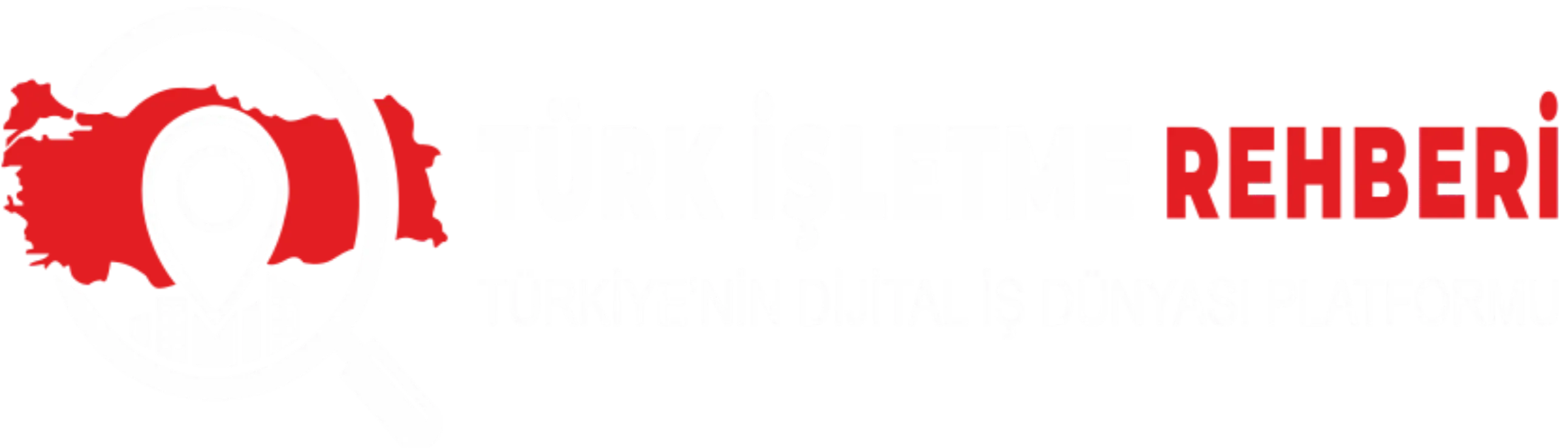 Türk İşletme Rehberi